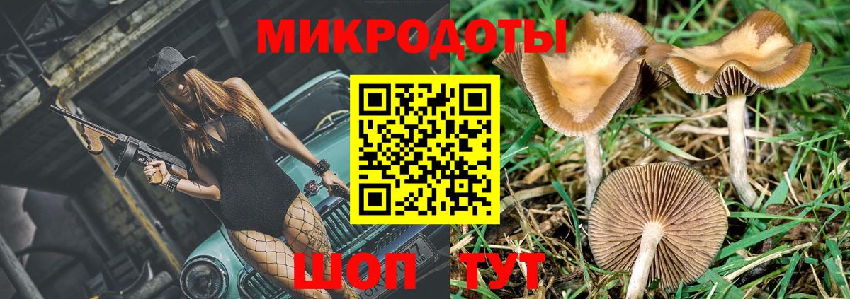 Южноуральск  Галлюциногенные грибы мухоморы  Вход с VPN 
